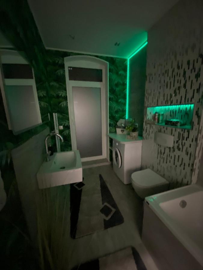 Ferienwohnung Erfurter Rose エクステリア 写真