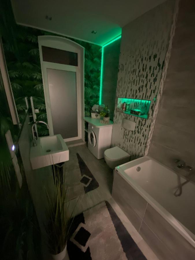 Ferienwohnung Erfurter Rose エクステリア 写真